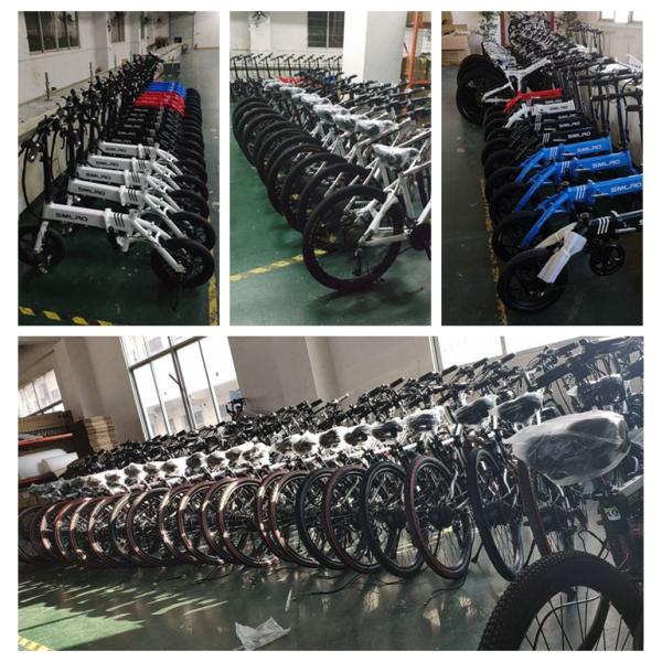 Waterproof Mini 20 Inch Folding Electric 30km/H Max Speed 48V Voltage