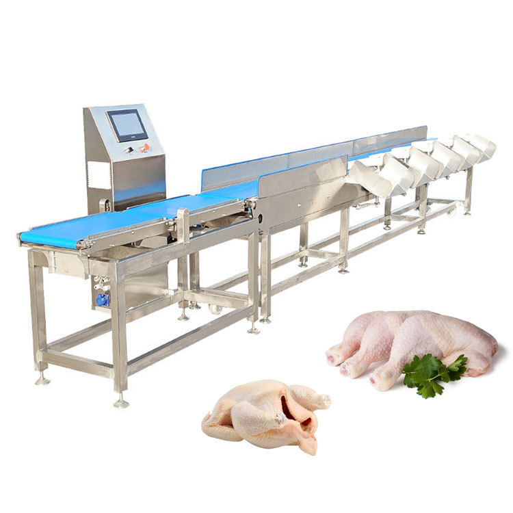 Professional Live Trout Fish Seafood Multistage Grader Sorter Orange Tomato Grading Shrimp Small Weight Sorting Machine