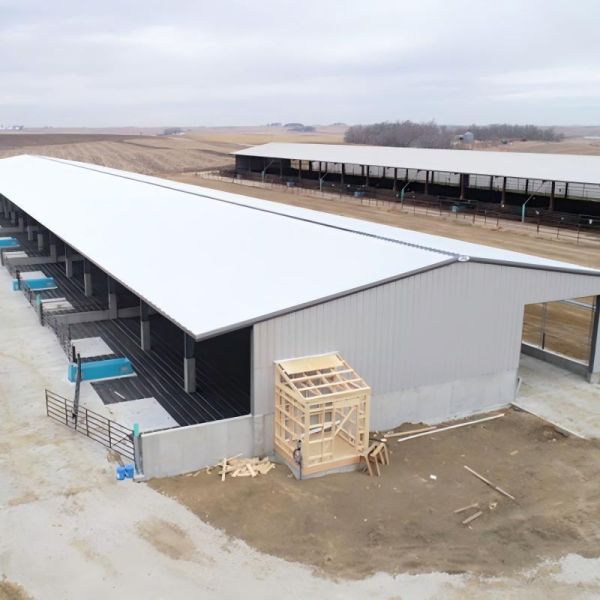 Customizable Dimensions High Strength Steel Frame Fast Installation Prefabricated Steel Structure Poultry House for Broiler Farming