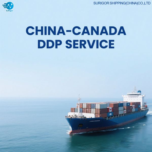 HEDE LCL DDP Service From China To Canada Customs Clearance With UPS FedEx Last Mile Delivery