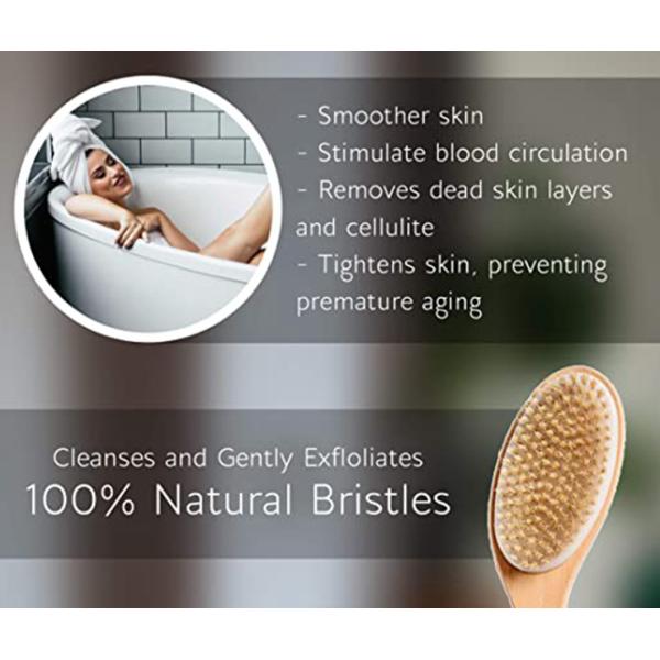 Бамбуковая щетка щетинки хряка инструмента 25cm мытья тела щетинки