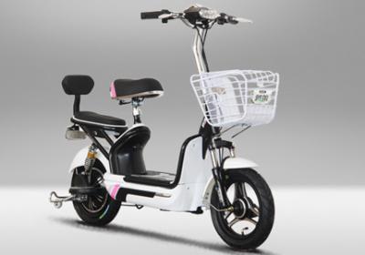 48V 350W Pedal Assist Electric Bike ​14 x 2.5 Tire Aluminum Wheel