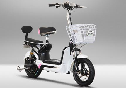 48V 350W Pedal Assist Electric Bike ​14 x 2.5 Tire Aluminum Wheel