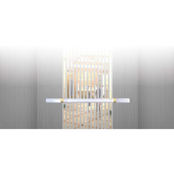 O elevador moderno da decoração da cabine do elevador do estilo parte o corrimão de aço inoxidável