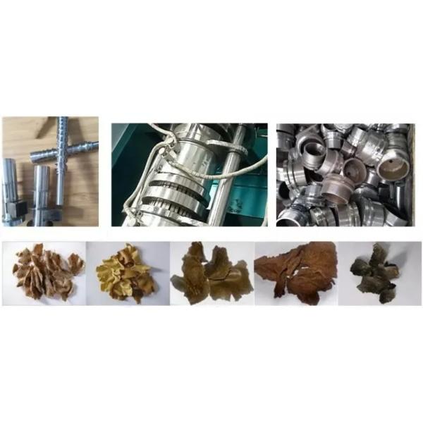 Автоматическая мини-машина для прессы масла Коммерческая машина для производства орехового масла