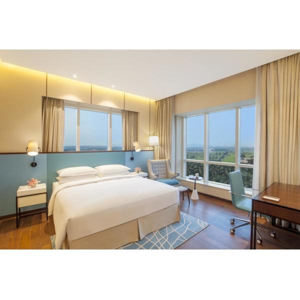 India Hyatt Hotel Blue Theme National Features Thin Structure Furnitures