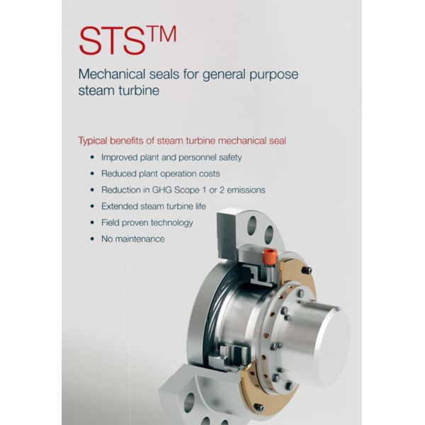 AESSEAL STS Dry Gas Seals Carbon Ring Mechanical Seal for Steam Turbines