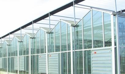 Agricultural Intelligent Glass Multi Span Greenhouse Galvanized Steel Structure