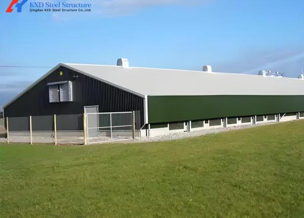 Steel Structure Poultry House with Automatic Feeding System - ISO9001 Certified