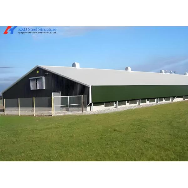 Commercial Building Steel Structure Plant Poultry House For Chicken Shed