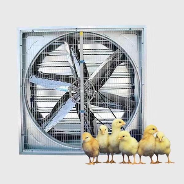 Bid Blades Cooling Poultry Farm Wall Exhaust Fan  Greenhouse Ventilation Fan Heavy Duty Drop Hammer Fan