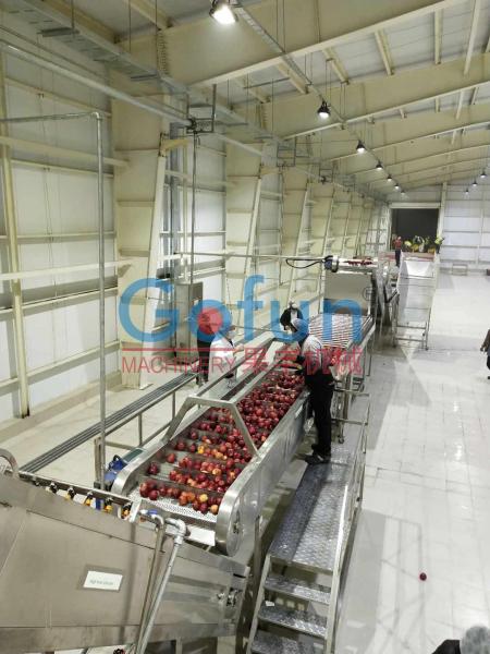 Linha de processamento de 3T/H Apple para Juice Complete Plant Preheating