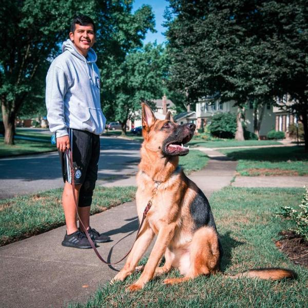 Trelas de couro do cão feito a mão de 6 FT, categoria militar da trela de couro trançada do cão