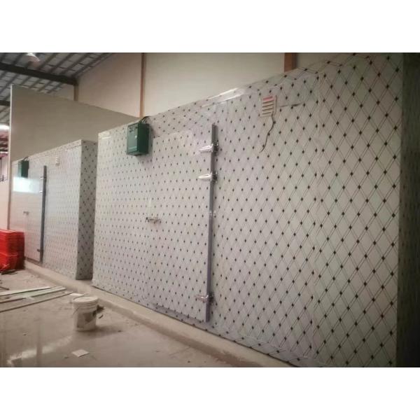 Комната сумки льда холодная Refrigerated прогулка хранения льда в замораживателе