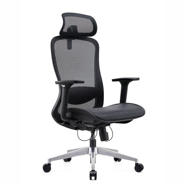 Office Chair Free Shipping Full Mesh Back & Seat Cushion Office Ergonomic Executive Mesh Chair Computer Comfort Lifting Chair