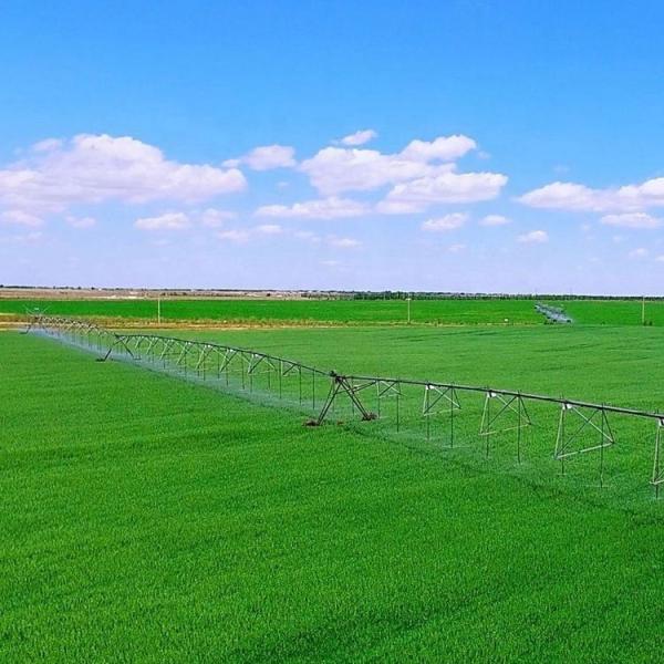 Vegetable Farm Centre Pivot Irrigation System with Wireless Lateral Sprinkler and Remote Monitoring