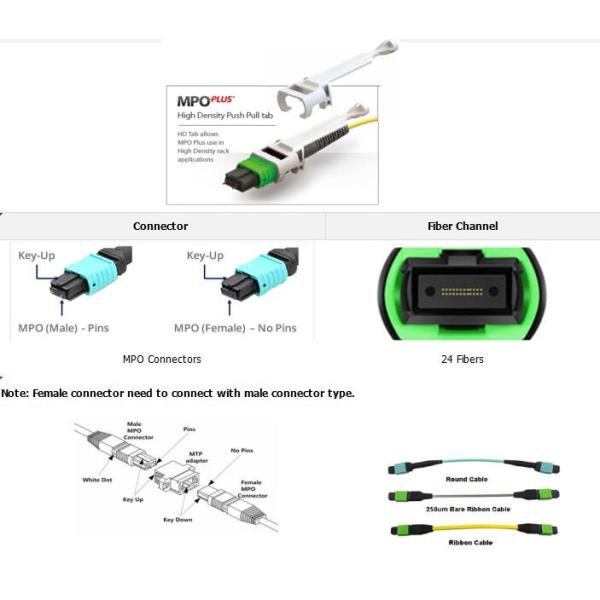 Femelle de 24 fibres MPO aux mètres faits sur commande femelles monomodes de corde de correction de 3.0mm LSZH MPO de MPO