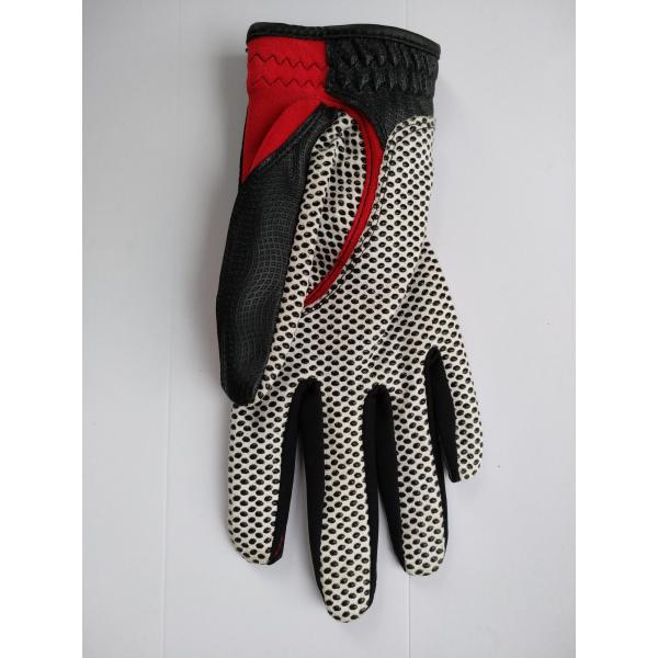 golf glove , golf gloves , glove , gloves