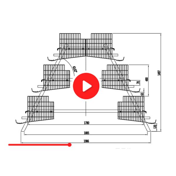 A Frame Male And Female Seperate Breeder Cage