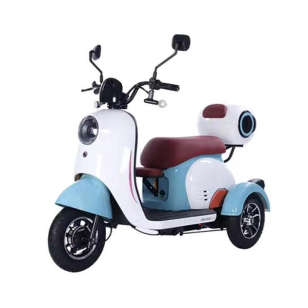 China Factory sale Electric Tricycle  Adult Delivery