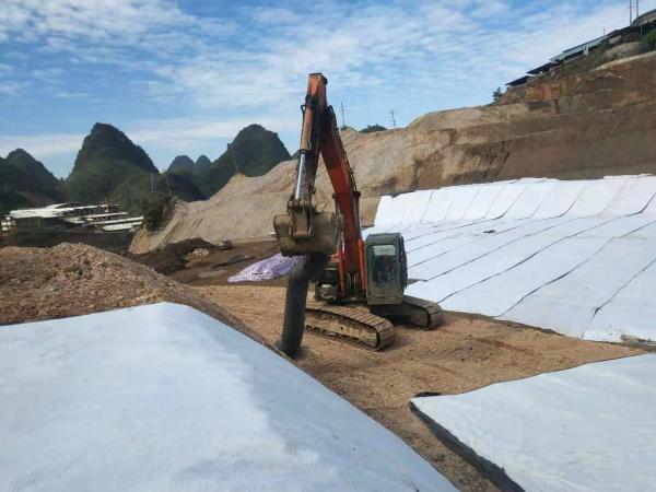 Natural Sodium Bentonite Core 4-6m Geosynthetic Clay Liner for Hydraulic Barriers