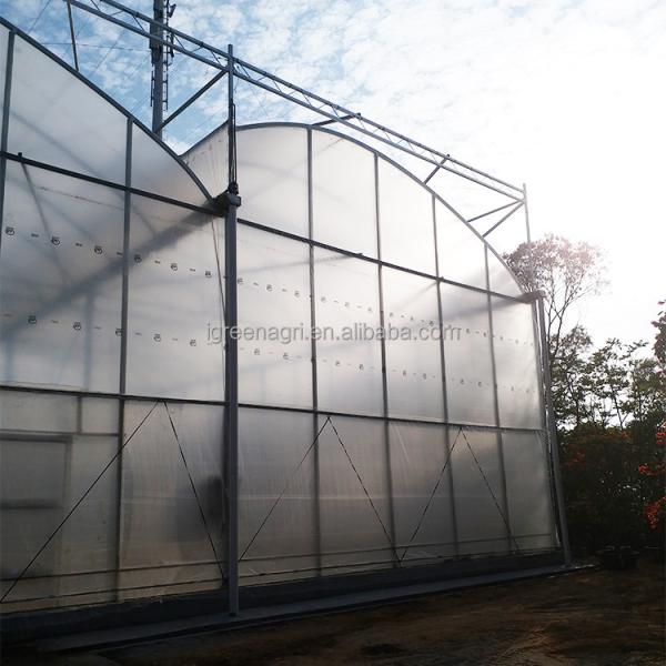 Single Layer Greenhouse Hydroponics System Wrought Iron Greenhouse With Film Surface