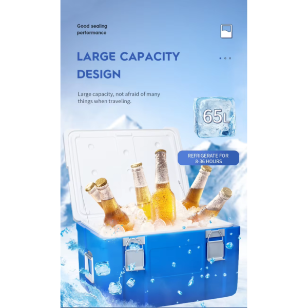 65L Ice Cooler Box with Fixed Ice Packs and 535*410*300mm Internal Size for Camping and Outdoor Use