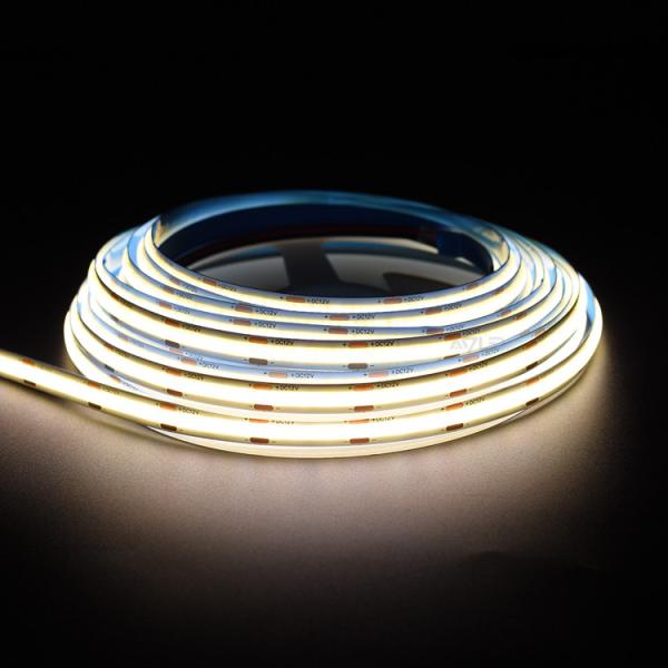 8MM 12V/24V 480LEDs LED Strip 5Meters/Reel WIth High-density Chip-on-Board Technology for Light Project