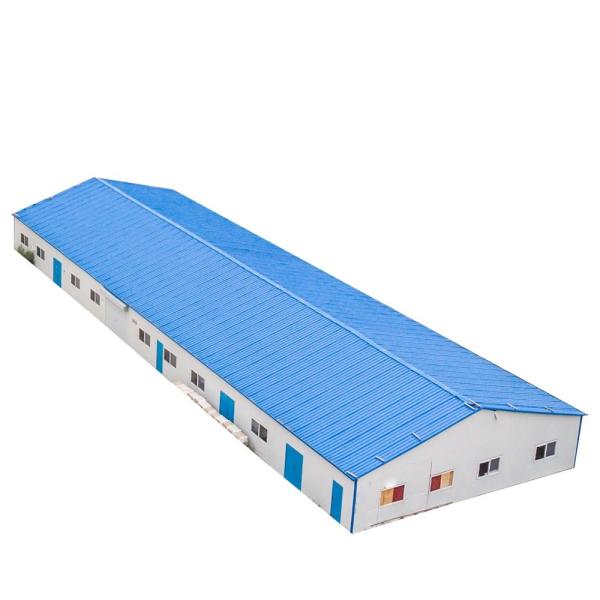 User House Customized Color Steel Frame House Prefabricated for Supply Homes Warehouse