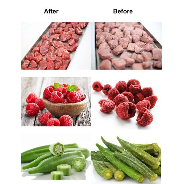 2000KG Freeze Dried Instant Coffee Juice Tea Extracts Extract Soup Powder Vacuum Lyophilization  Machine