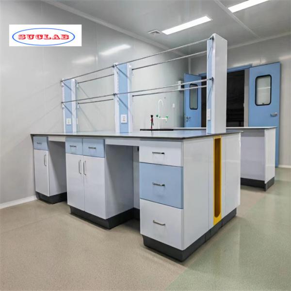 Customizable Lab Furnitures Acceptable for OEM/ODM Laboratory Needs