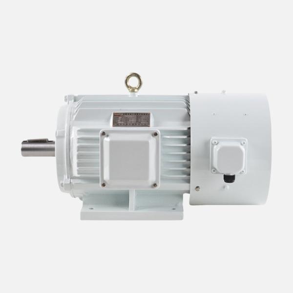 Compact Design PMSM With Speed Adjust By VFD And IP54/IP55 Protection Grade 1.1