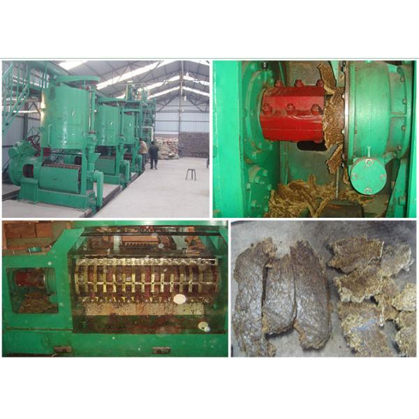Automatic Grade Automatic Big Capacity Cotton Seed Oil Press Machine Castor Oil Mill Processing Machinery
