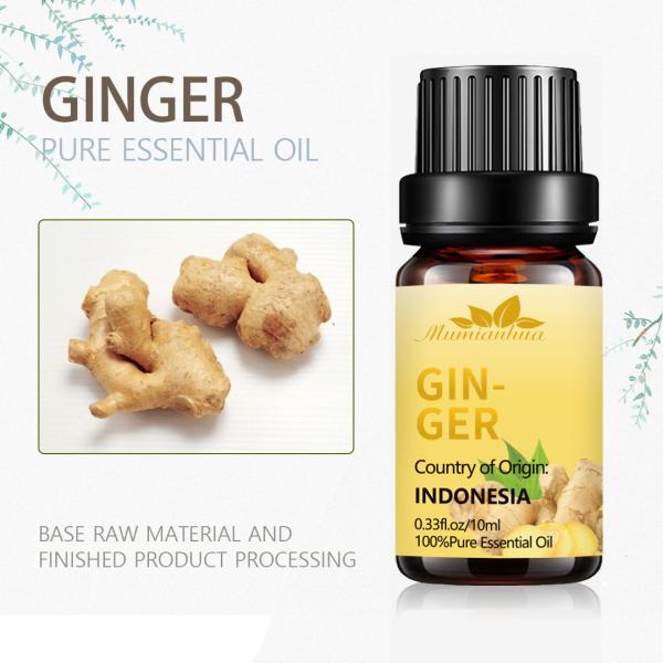 10ml Organic Ginger Essential Oil Hair Growth MSDS OEM For Hair Loss Treatment