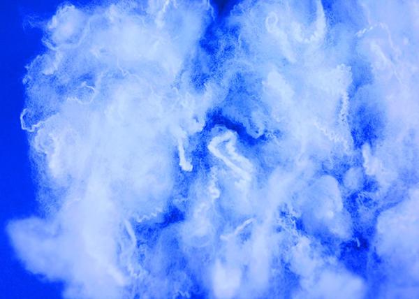 Eco Friendly Polylactic Acid Fiber 1.67dtex/38mm Chemical - Resistant