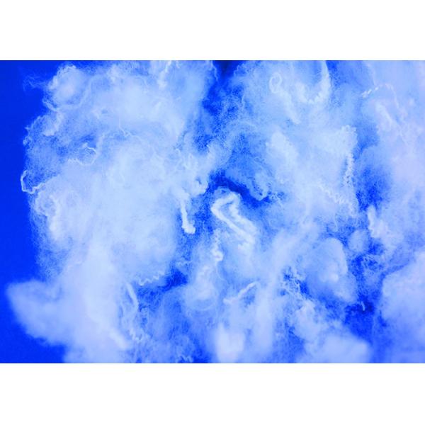 Eco Friendly Polylactic Acid Fiber 1.67dtex/38mm Chemical - Resistant