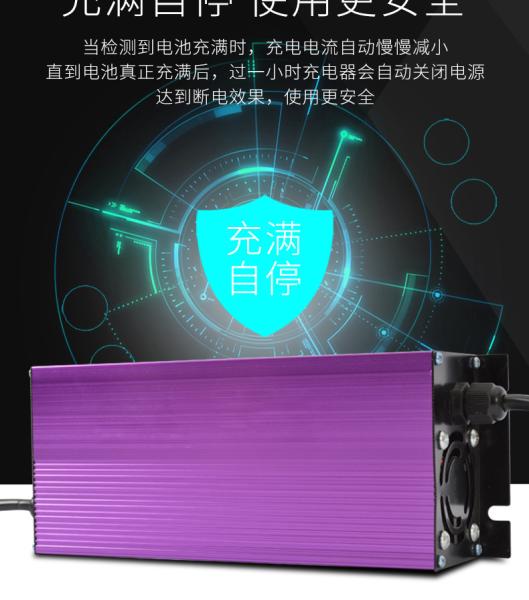 chargeurs de batterie intelligents automatiques de Li-ion de lithium de 12v 24v 36v 48v 10A 7A 5A 4A