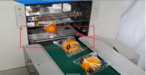 Fruit And Vegetables Multi Packaging Machine 100-230 Bag / Min