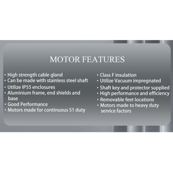 Moteur asynchrone monophasé en aluminium étanche pour pompe de piscine 1500 tr/min 220V 50/60Hz