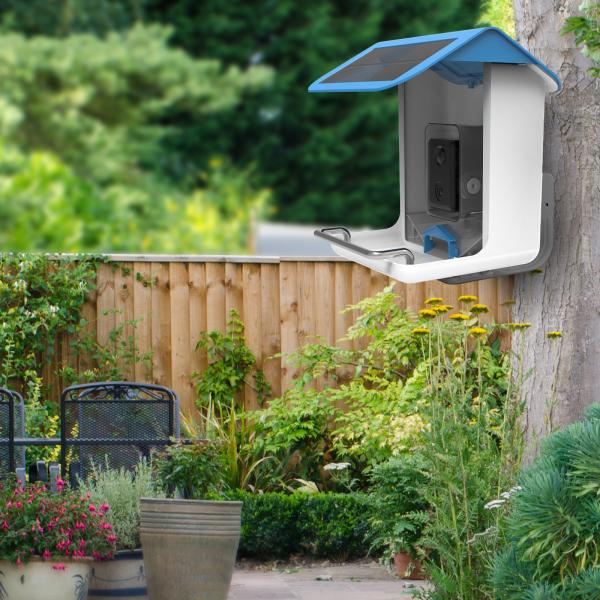 Умная кормушка для птиц с камерой, уведомлением приложения, распознаванием AI и автоматическим обнаружением птиц, кормушка для диких птиц на открытом воздухе