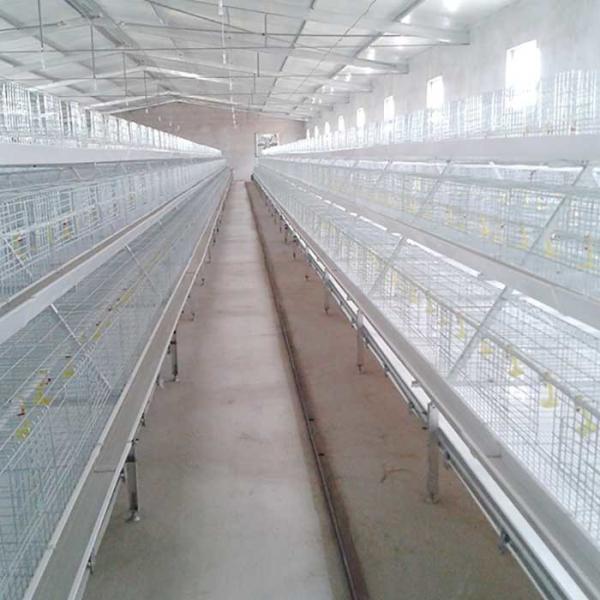 4 fio estirado a frio da gaiola Q235 da galinha de grelha das portas das séries 8 que solda a grande elasticidade