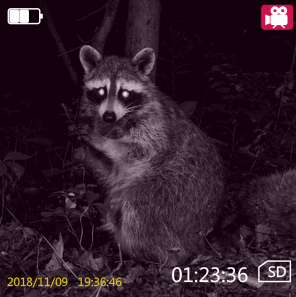 голова 1x24 HD установила изумленные взгляды ночного видения для охотиться располагаясь лагерем тип шлема