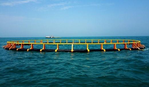 HDPE Material Aquaculture Net Cage High Extensity Corrosion Resistance