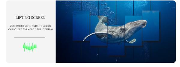Custom Advertising Lifting Flexible Led Screen Wall Indoor Flexible Led Screen Panel