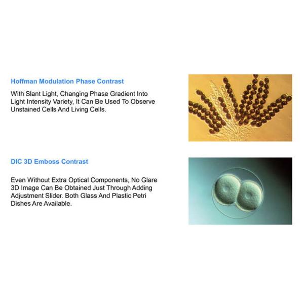 OPTO EDU A14.1064 Inclined Phase Contrast Fluorescence Microscope