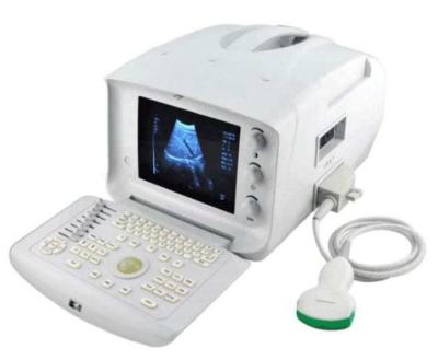 Accurate Ultrasonic Imaging Device with Full Digital B Mode and 256 Gray Scale