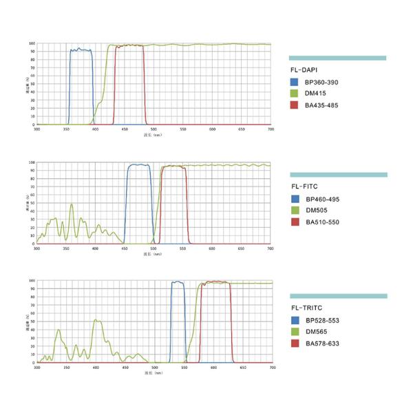 Research Scientific Full Auto Motorized Opto-Edu Binocular Biological Microscope A12.1095