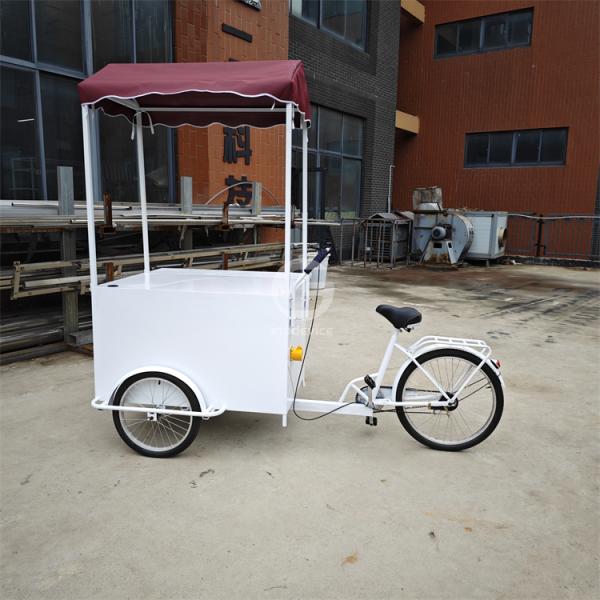 2200*900*2000mm Cold Drink Ice Cream Vending Tricycle Popsicle Display Tricycle Bicycle
