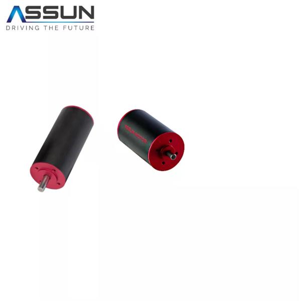 Small Coreless 9000 Rpm Electric Motor 24V Nominal Voltage 20168mA