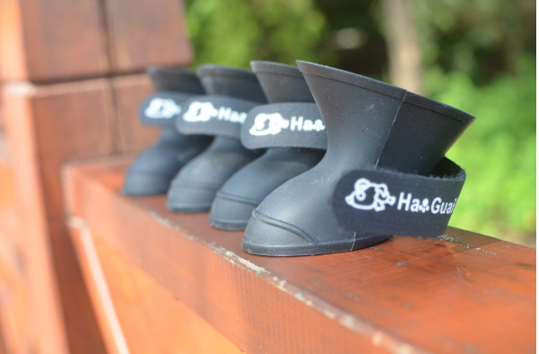 Pet supplies silicone rain boots, non-slip pet shoes, candy color fashion cute dog shoes,red,yellow,pink,black;